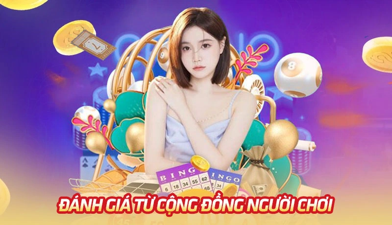 Đánh giá và phản hồi từ cộng đồng người dùng của Choilode